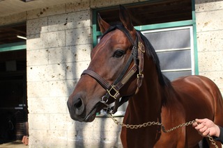 �����ɥ���ե����_20251125