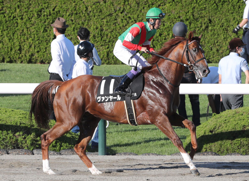 一口馬主 特別登録馬 11 6 スライムの競馬ブログ