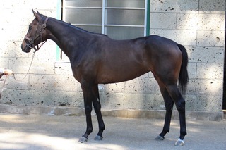 フレキシブル_20250930