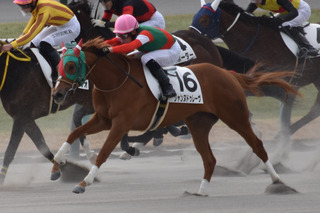 �����̥ɥ��졼��_20260131_2