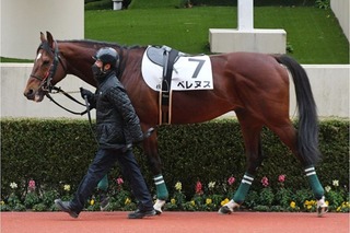 �٥�̥�_20240203