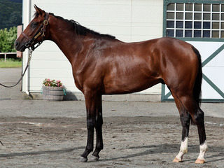 �ߥꥪ�󥰥����꡼_20250831