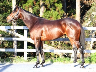 �����֥�ॹ_20251226