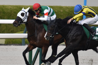 2026������