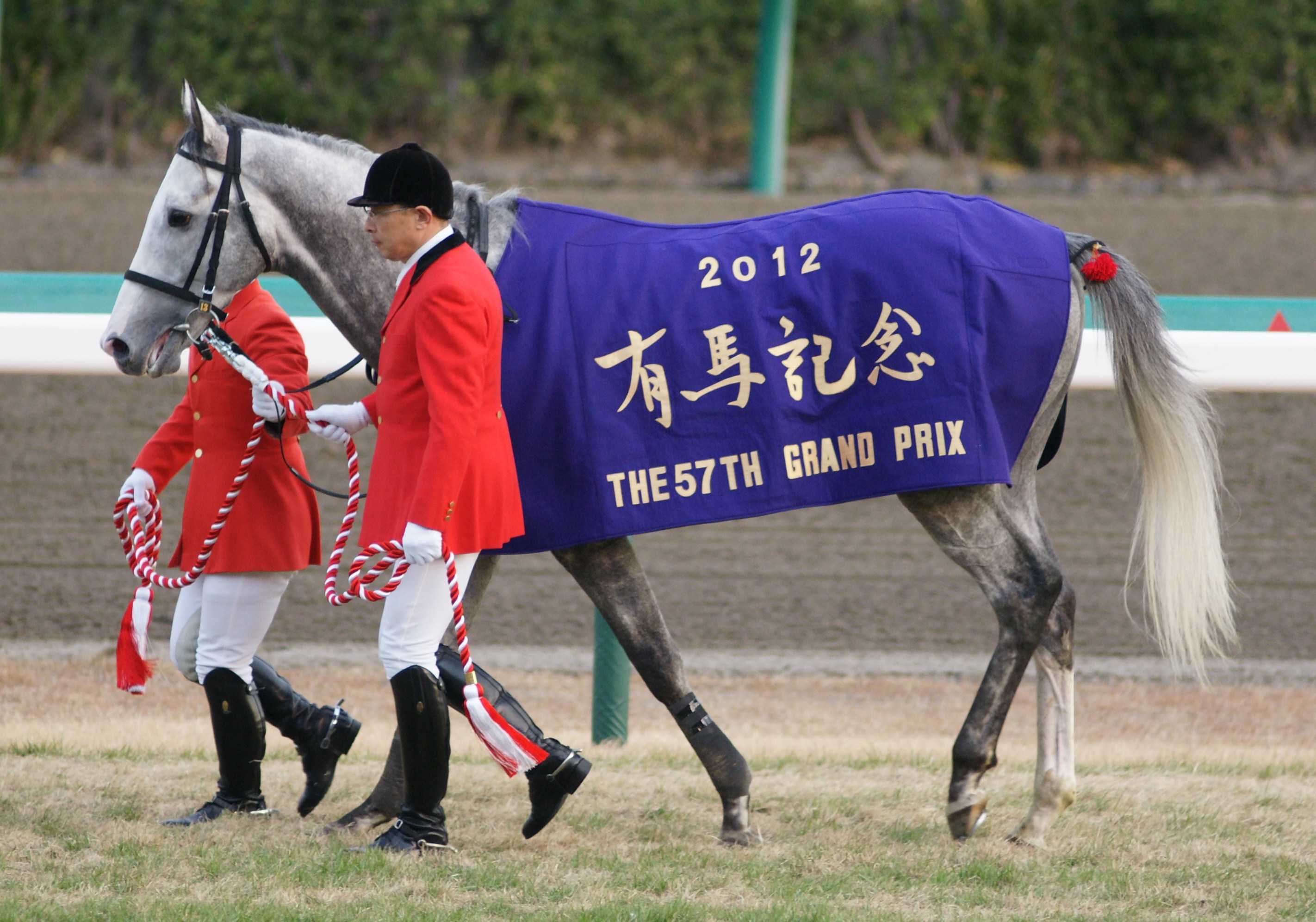 15年5月3日 第１５１回天皇賞春 レーシングプログラム カラー 優勝馬ゴールドシップ オークス馬ユーバーレーベンの父 品質は非常に良い