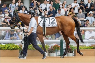 フィアスゲイル_20250913