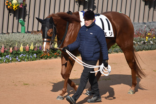 �ե���_20260124