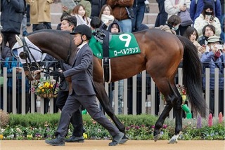 �����٥륯����_20260210