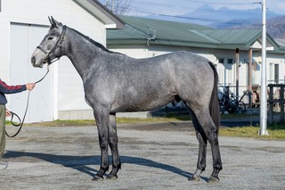 ��åɥ����������24_20251130