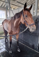 ��åɥ��ͥ⥹_20210617