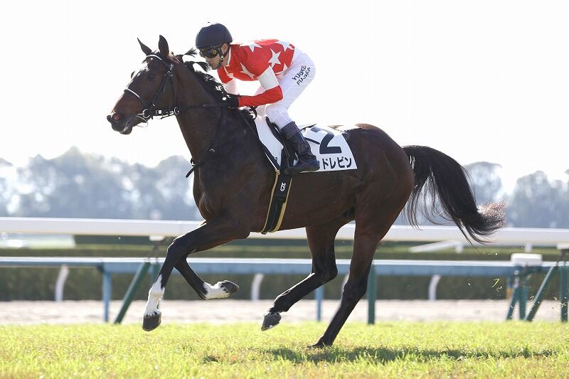 ソース画像を表示