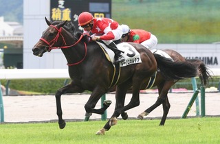 �롼���奫��ǥ�_20250705