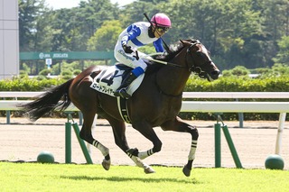 ロードプレイヤー_20250802