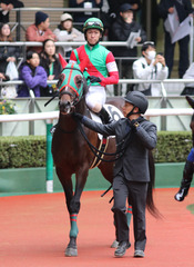 �ޥ��ʥ쥬�ꥢ_20251109