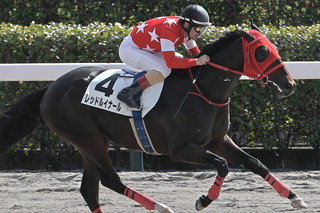 ��åɥ륤�ʡ���_20241019