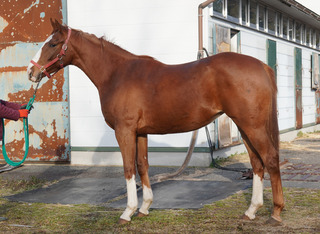 ���������ȥ�֥ߡ�24_2025Winter