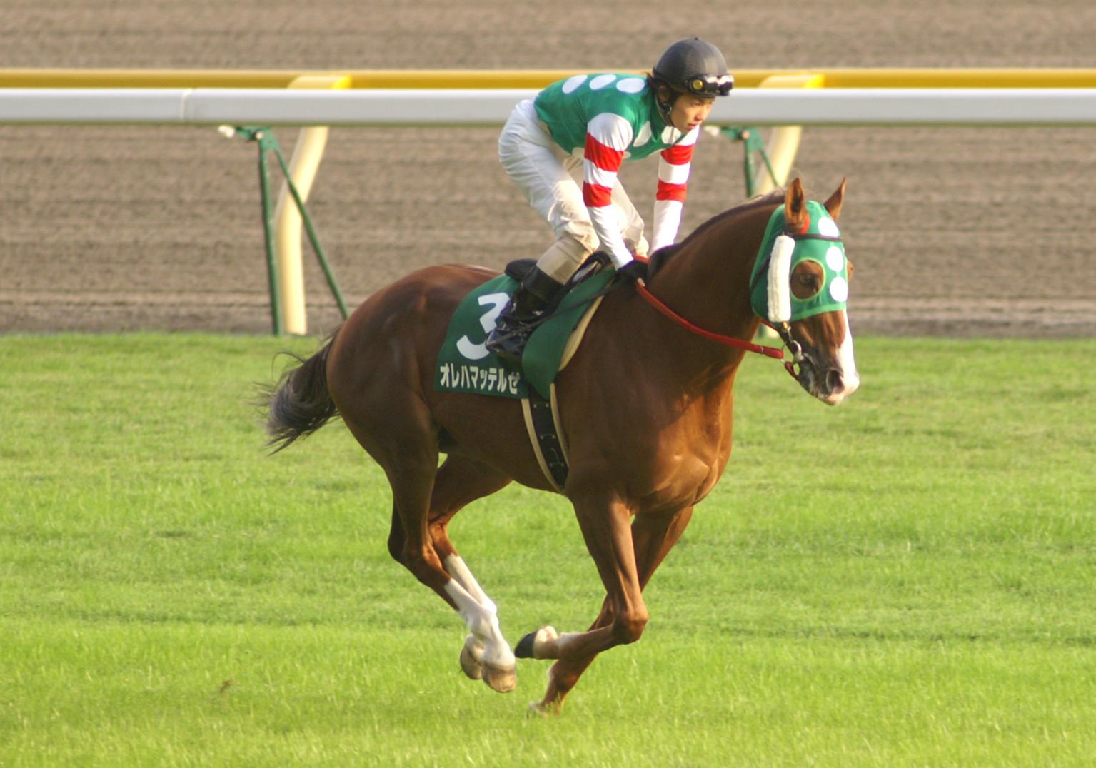 オレハマッテルゼが引退 種牡馬入り スライムの競馬ブログ オレハマッテルゼが引退 種牡馬入り スライムの競馬ブログ