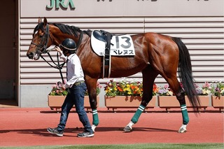 �٥�̥�_20240504