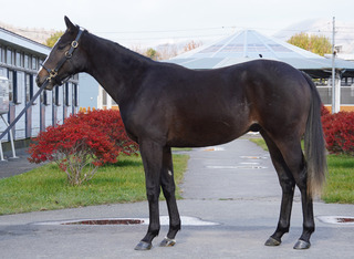 �����륶����24_2025Winter