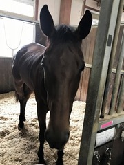 ��åɥ��ͥ⥹_20210430