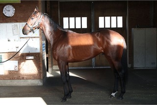 �����٥륯����_20260106