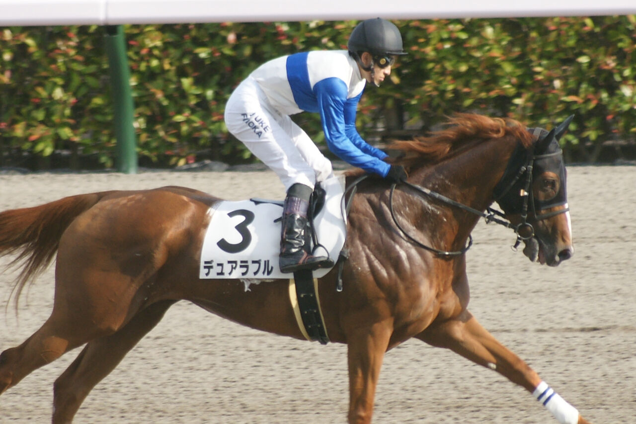 スライムの競馬ブログ【ロードTO】デュアラブル、ブリンカーが逆効果でRKB賞16着コメント