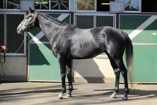 �����ɥ������֥롼_20251118