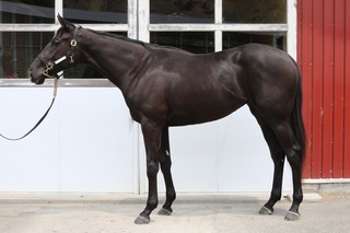 ソールスローザ_20250603