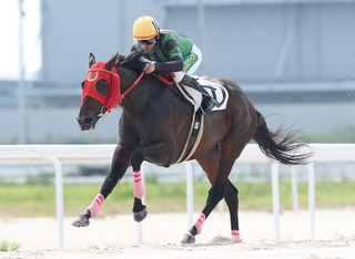 �Хȥ������_20250917