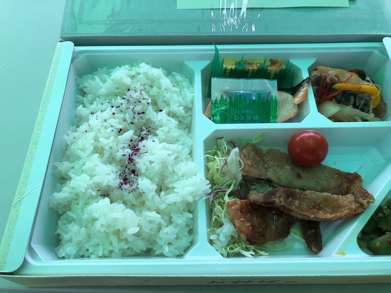 ウインrc １歳募集馬見学ツアー １日目 スライムの競馬ブログ