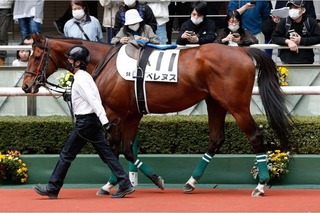 �٥�̥�_20240406