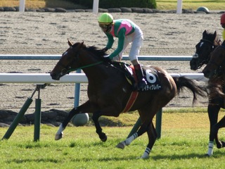 �����ƥ�����С�