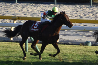 �����٥륯����_25�쥹���գ���S2