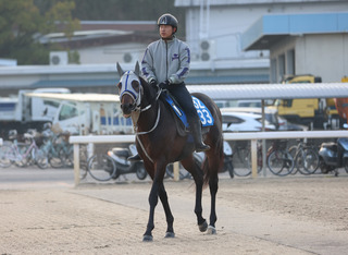 �Хȥ������_202511