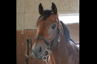 �����ɥ���ե����_20251104