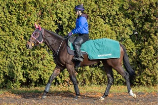 ������ɥå�_20251111