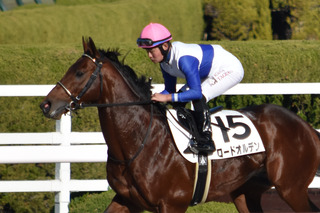 �����ɥ���ǥ�_25-2