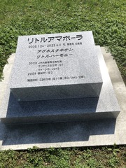 リトルアマポーラ墓