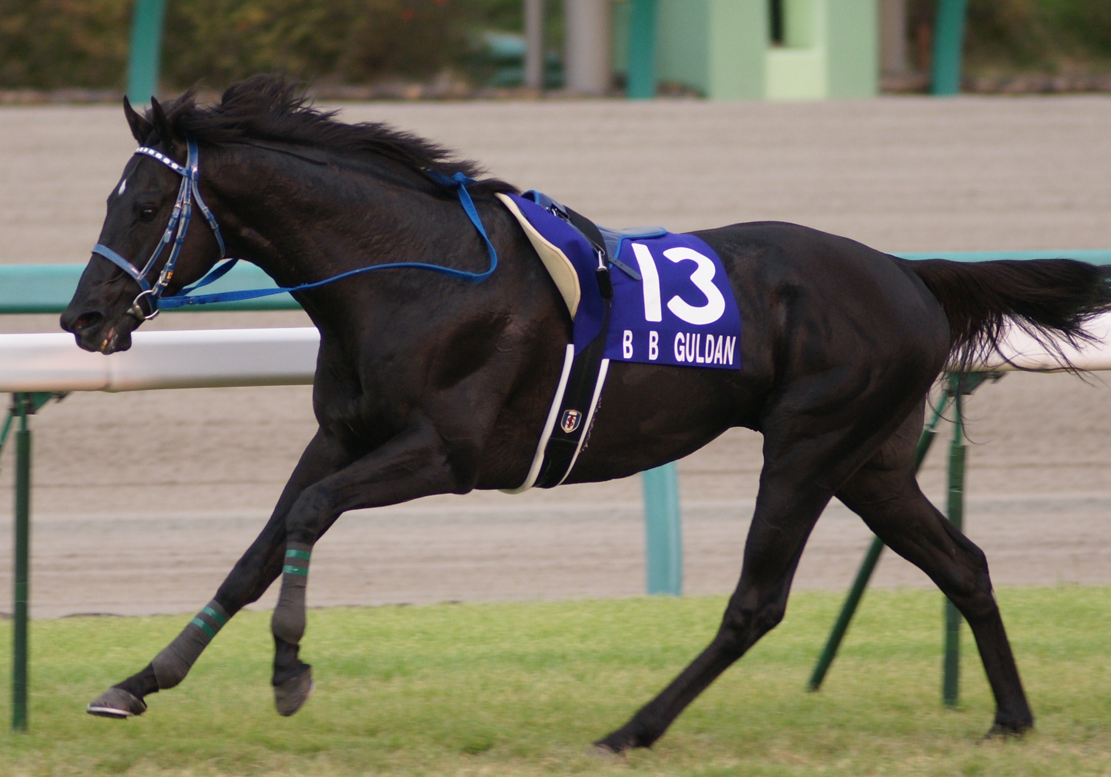 スプリンターズｓ ビービーガルダン放馬 スライムの競馬ブログ