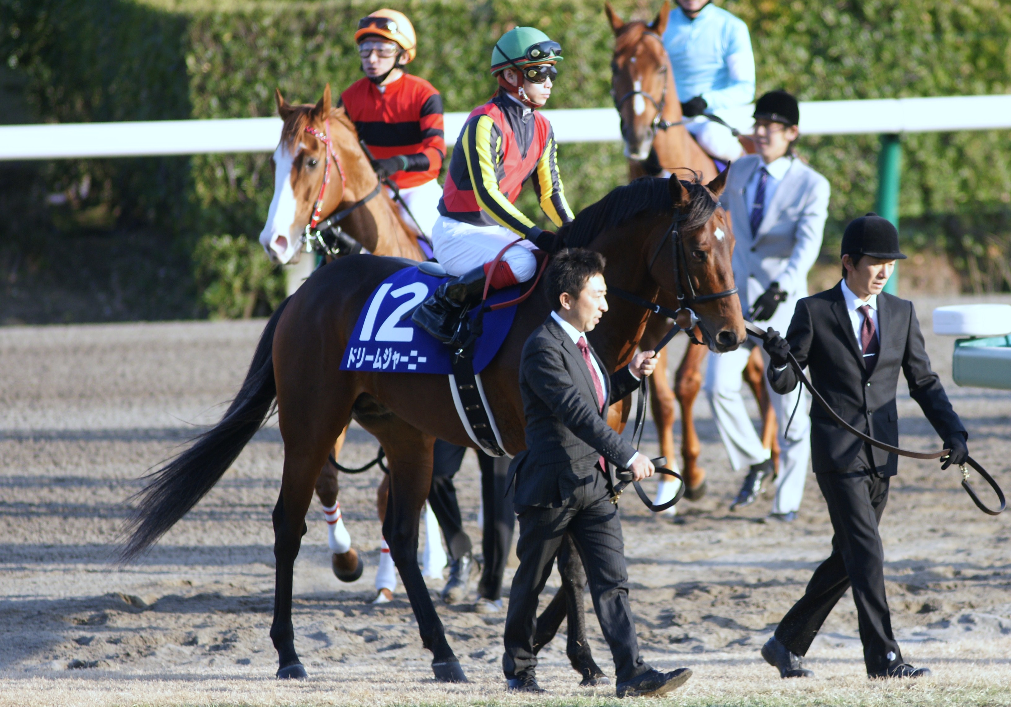 引退】ドリームジャーニー種牡馬へ : スライムの競馬ブログ
