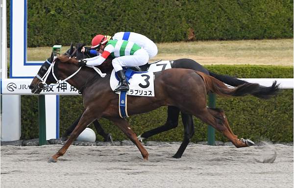 スライムの競馬ブログ【一口馬主】2019年度産馬戦績(ダービー終了時点)コメント