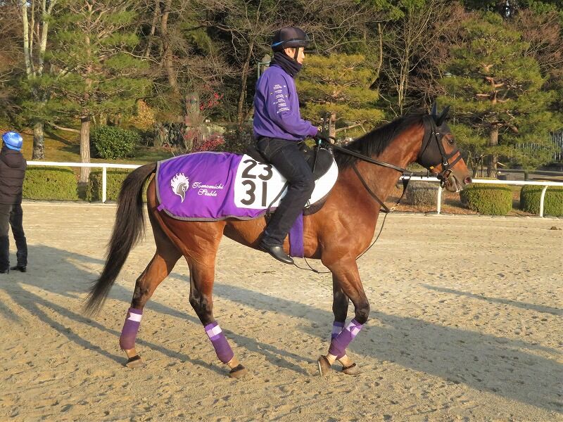 スライムの競馬ブログ【東京TC】レッドアネモス、栗東・友道厩舎に帰厩コメント