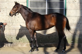 �ե쥭���֥�_20251125