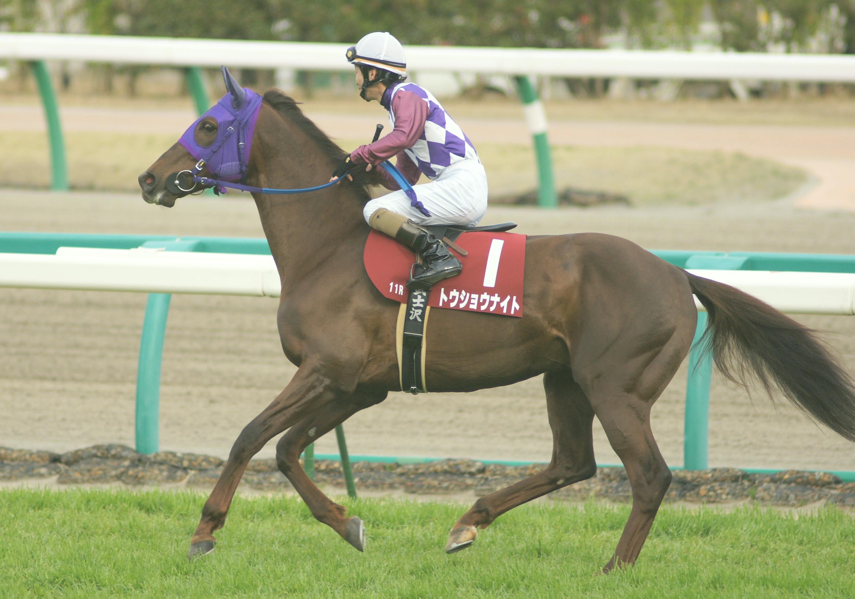 なん j 競馬