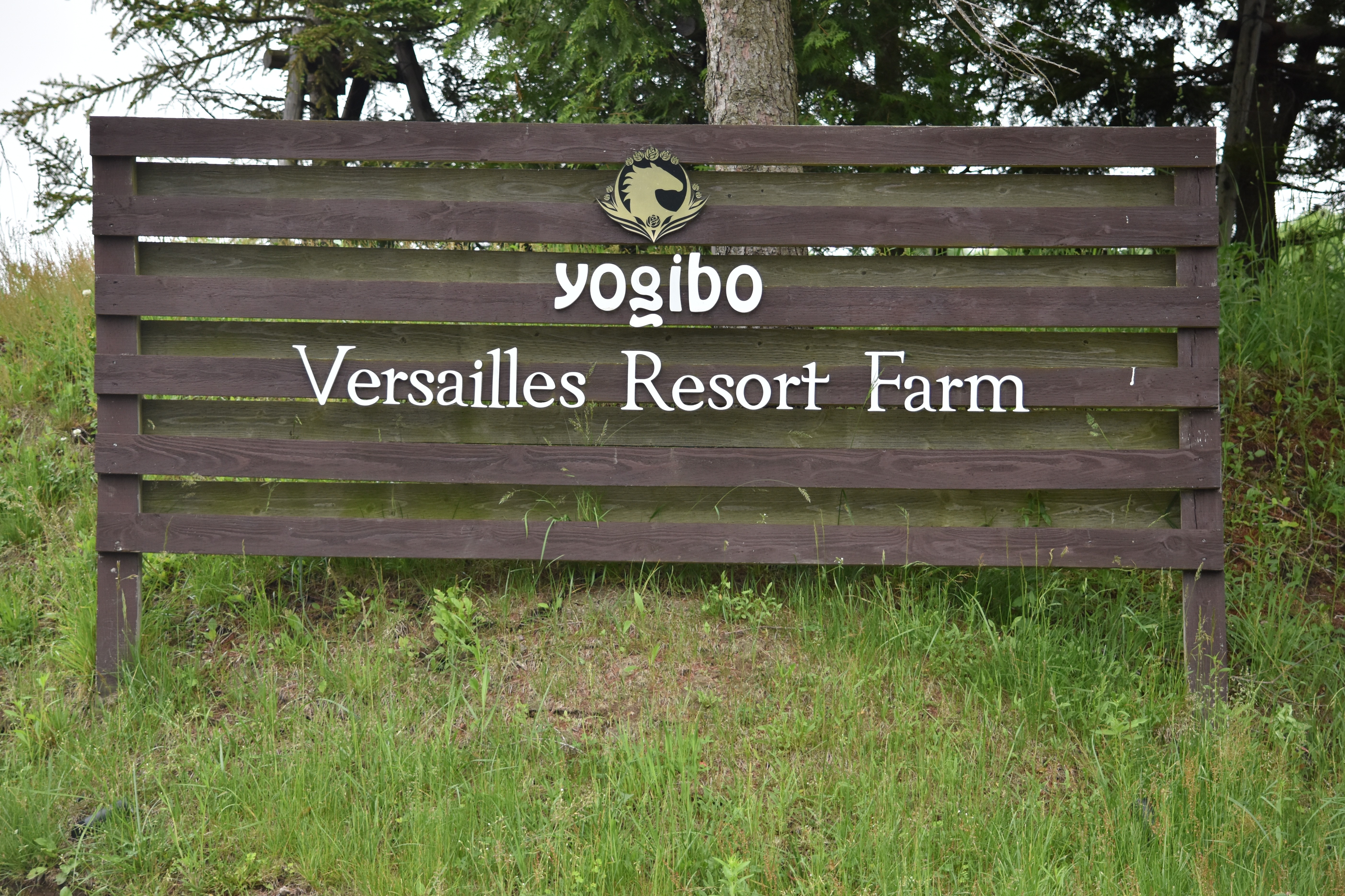 ヴェルサイユリゾートF