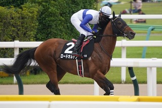 �����ɥ���ǥ�_20250608