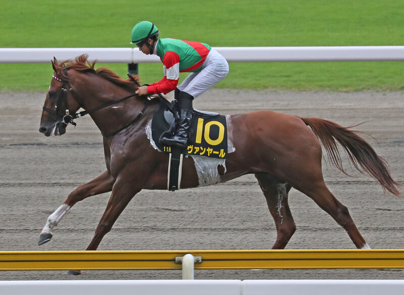一口馬主 特別登録馬 10 15 16 スライムの競馬ブログ
