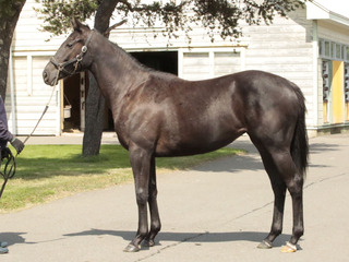 ե饤󥰥ǥ24_20250919