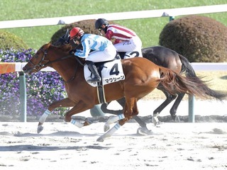 �ޥ�������_20251116