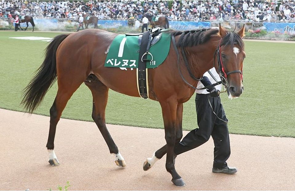 一口馬主 特別登録馬 11 13 スライムの競馬ブログ